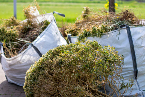 Best Hoarding Cleanup  in Gunbarrel, CO